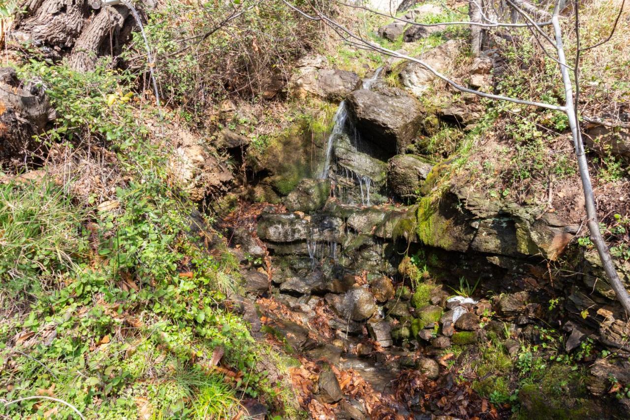 ランハロン Cortijo La Encinillaヴィラ エクステリア 写真